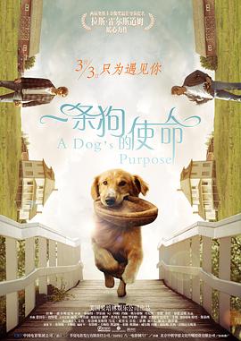 日韩精品一区二区三区中文在线