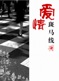 欧美阿v