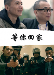 精品一区二区免费视频